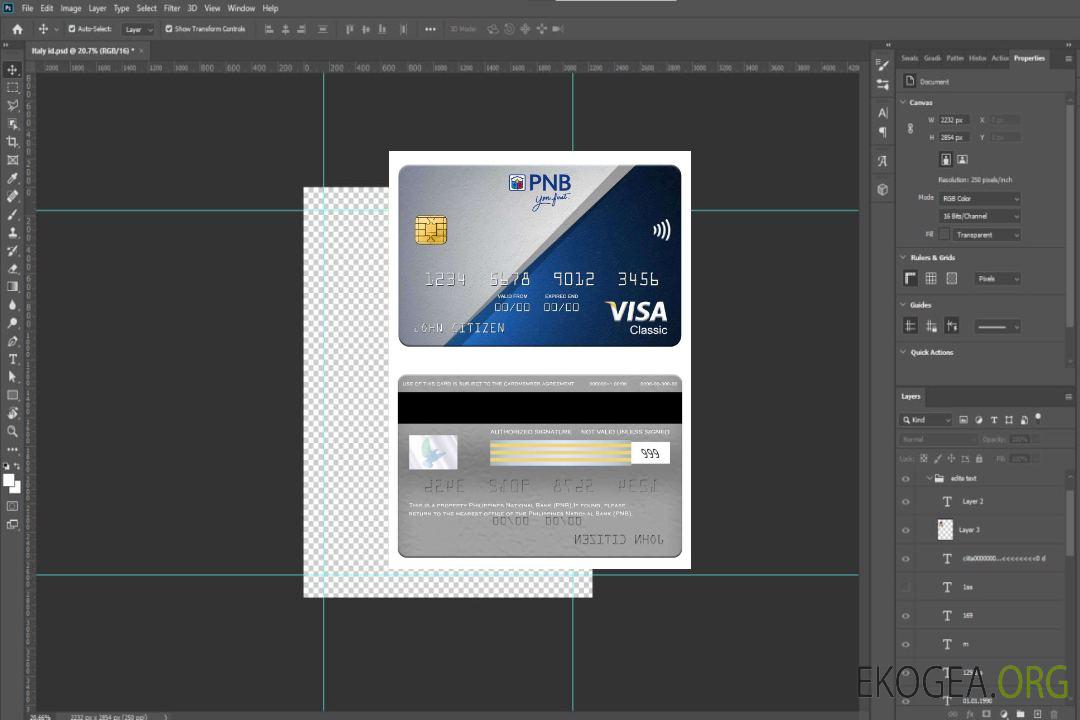 Carte visa classique de la Banque nationale des Philippines (PNB) template
